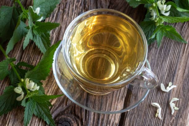 تصویر 2 از خرید عرق نعناع اصلی + قیمت فروش استثنایی